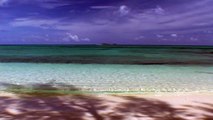RELAX or SLEEP on #1 CARIBBEAN BEACH Relaxing Ocean Waves Sounds Sea Wave Sound Crashing S