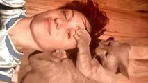 Cute Cats And Kittens Grooming Humans Compilation 2016 [NEW]