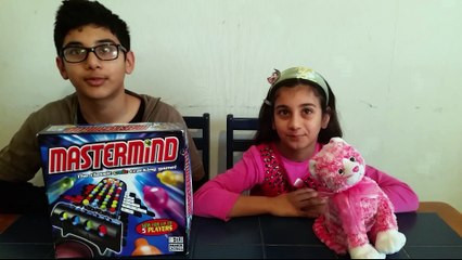 Mastermind game challenge Princess of challenges