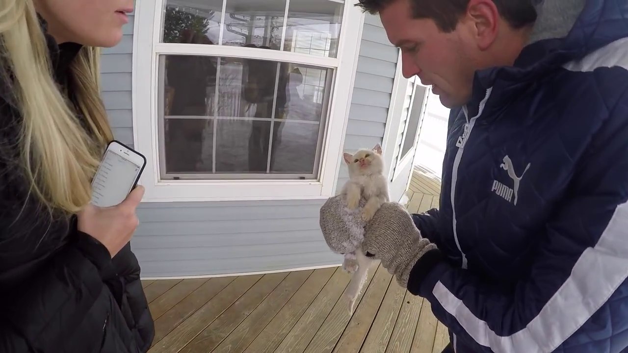Une famille sauve un chaton congelé dans la neige