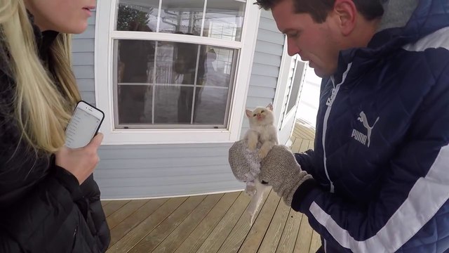 Une famille sauve un chaton congelé dans la neige