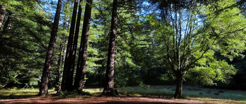 Empire Speeder Bikes flying on Drones with FPV Cameras are awesome!