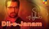 DIL-e-JANAM Dramas by Hamza Ali Abbasi Promo 2