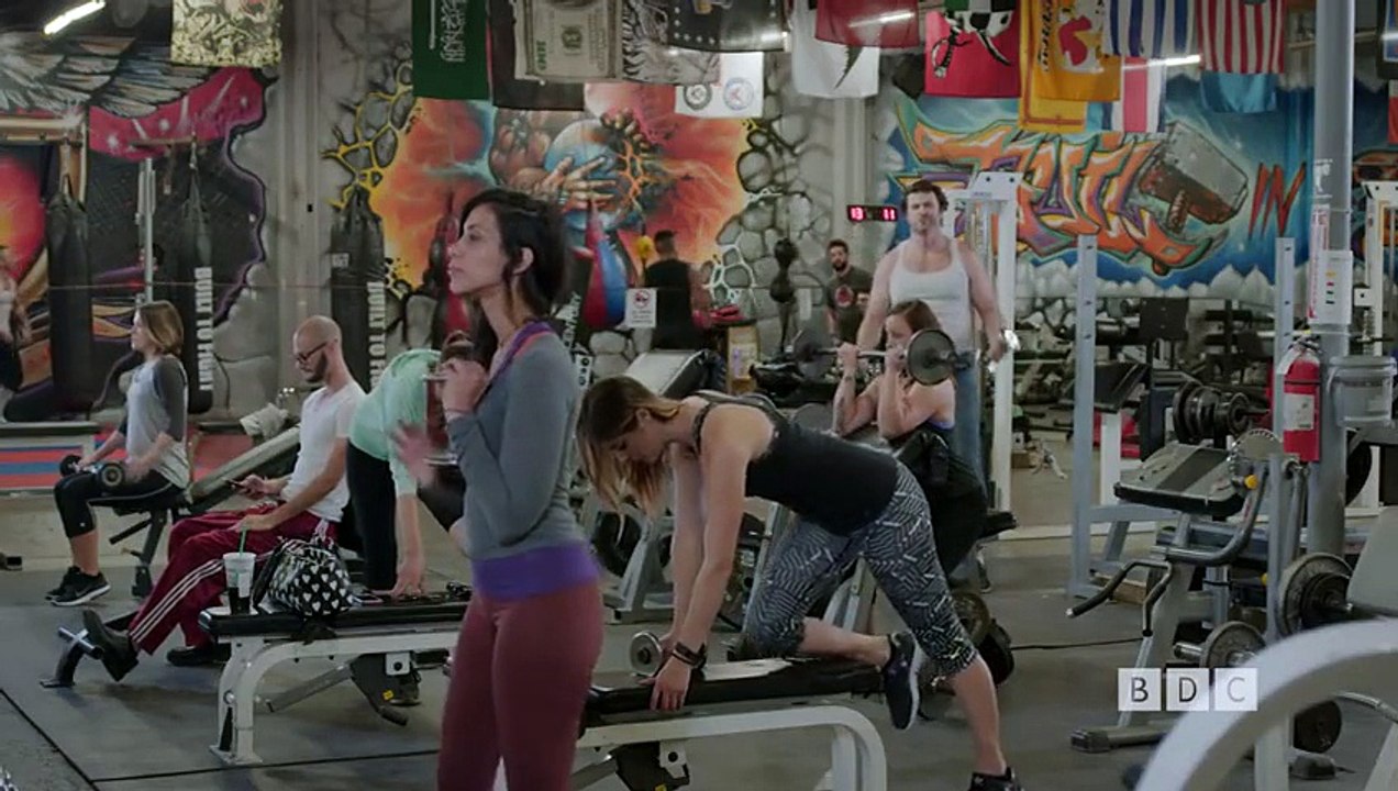 GYM WILDLIFE