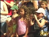 Cookie Cockatoo  Retires  at Brookfield Zoo