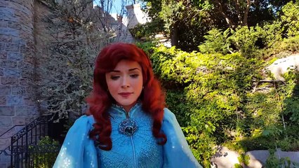 Ariel has been there, done that  Disneyland!
