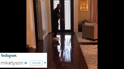 Mike Tyson falls off his hoverboard