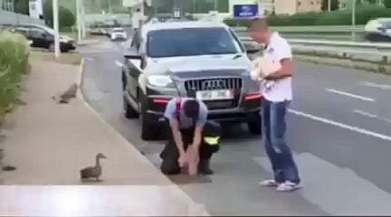 the best thing that has ever seen