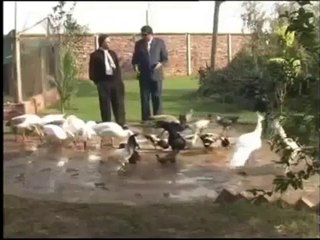 Check Out The Palace Of Hassan Nisar – How Can A Journalist Buy Huge Palace