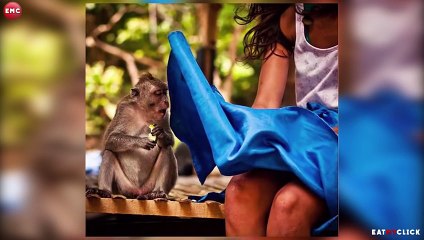 50 Funny Photos Taken At The Right Moment