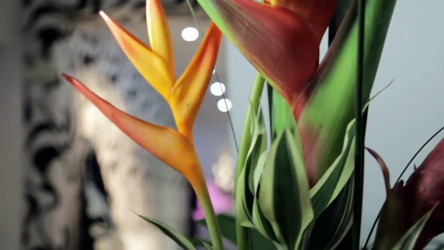 Smile Makeovers Manchester | Dentist in Cheadle Hulme