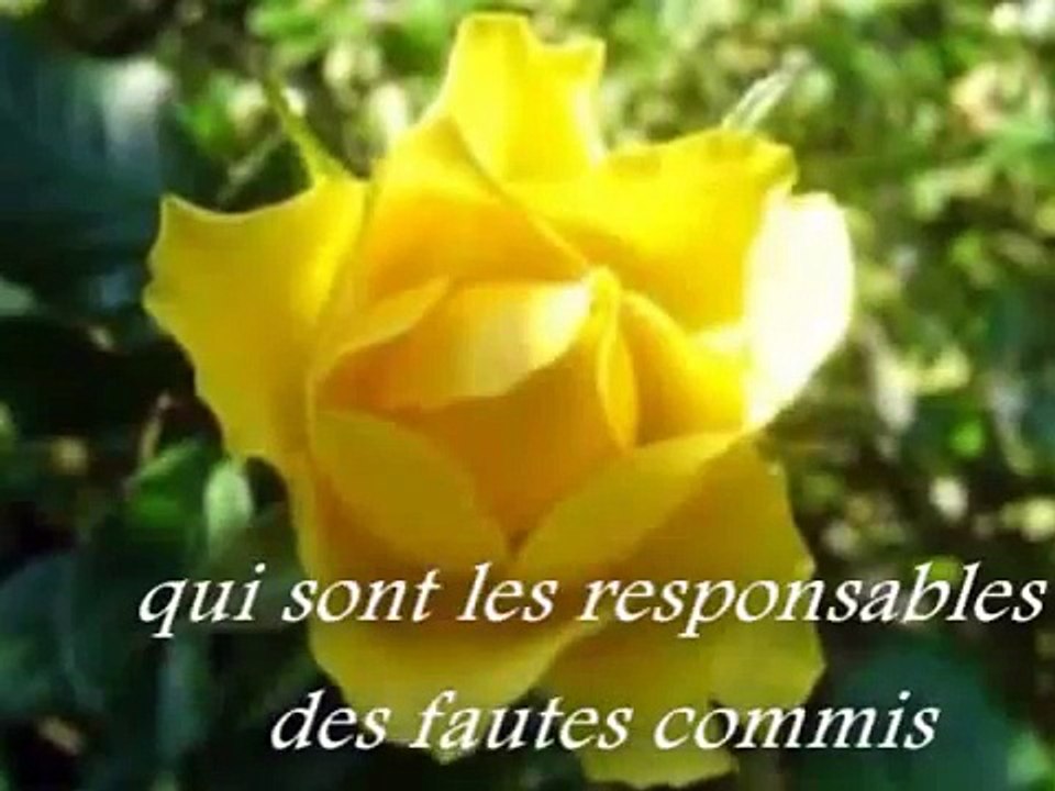 La Rose de L'Amitié