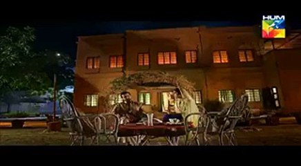 Dil E Jaanam Promo Upcoming Hum Tv Dramamaya Alihamza Ali Abbasigoherdailymotion