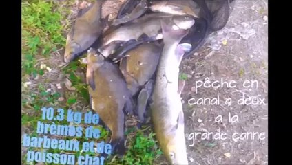 diaporama des prises (peche en canal)
