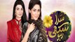 Sada Sukhi Raho Episode 87 Geo TV - 03 December 2016