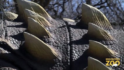 Dinosaurs Alive! is Back!