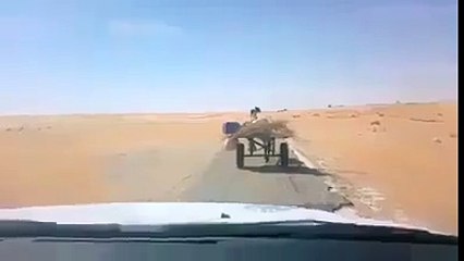 شاهد هذا الحمار ماذا فعل