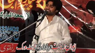 Zakir Qalab Abbas Alvi Majlis 20 November 2015 Green Town Lahore