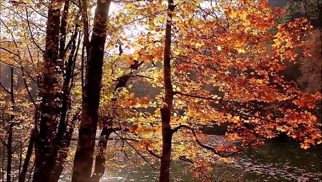 Resul Dindar _ Karşıya Çifte Çamlar