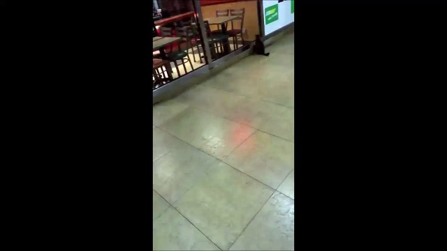 Tom et Jerry préparent leur plan pour voler de la nourriture au Subway