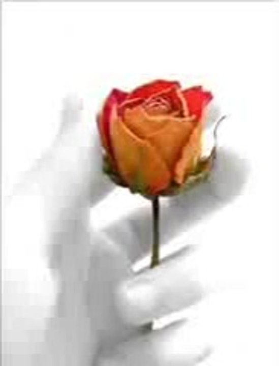 Maulana Tariq Jameel Bayan Hoor Se Shadi