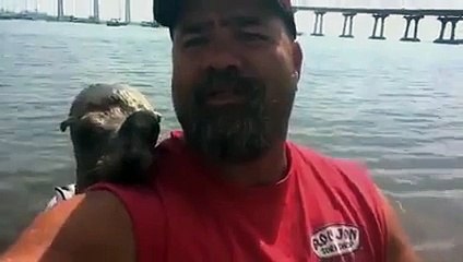 Seal Jumps On Guy's Boat And Makes A Friend Funny Video