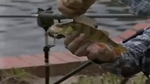 Go Fishing with John Wilson - Fishing Summer Lakes (Perch Tench)