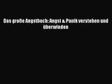 Das große Angstbuch: Angst & Panik verstehen und überwinden PDF Herunterladen