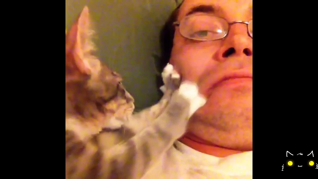 Epic Funny Cats Compilation 2015