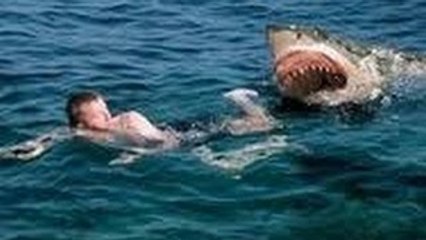 Strange things in the Amazon forest Shark Documentary_Animal Planet Wildlife Documetary HD 2015