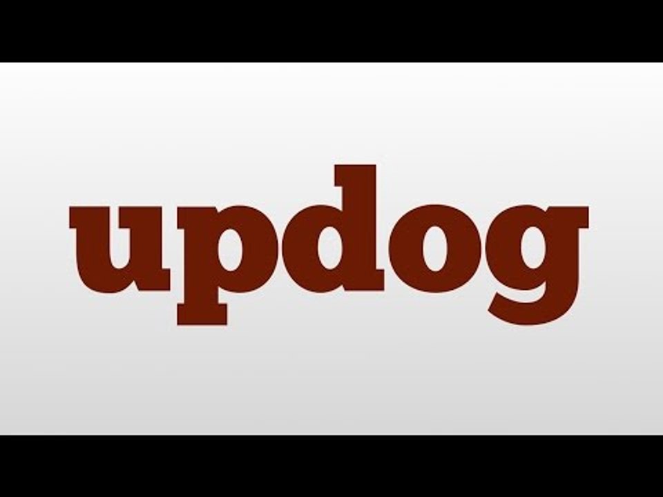 updog meaning and pronunciation