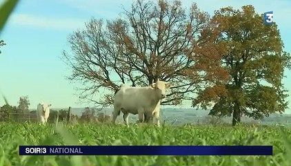 Des élevages soucieux de l'environnement