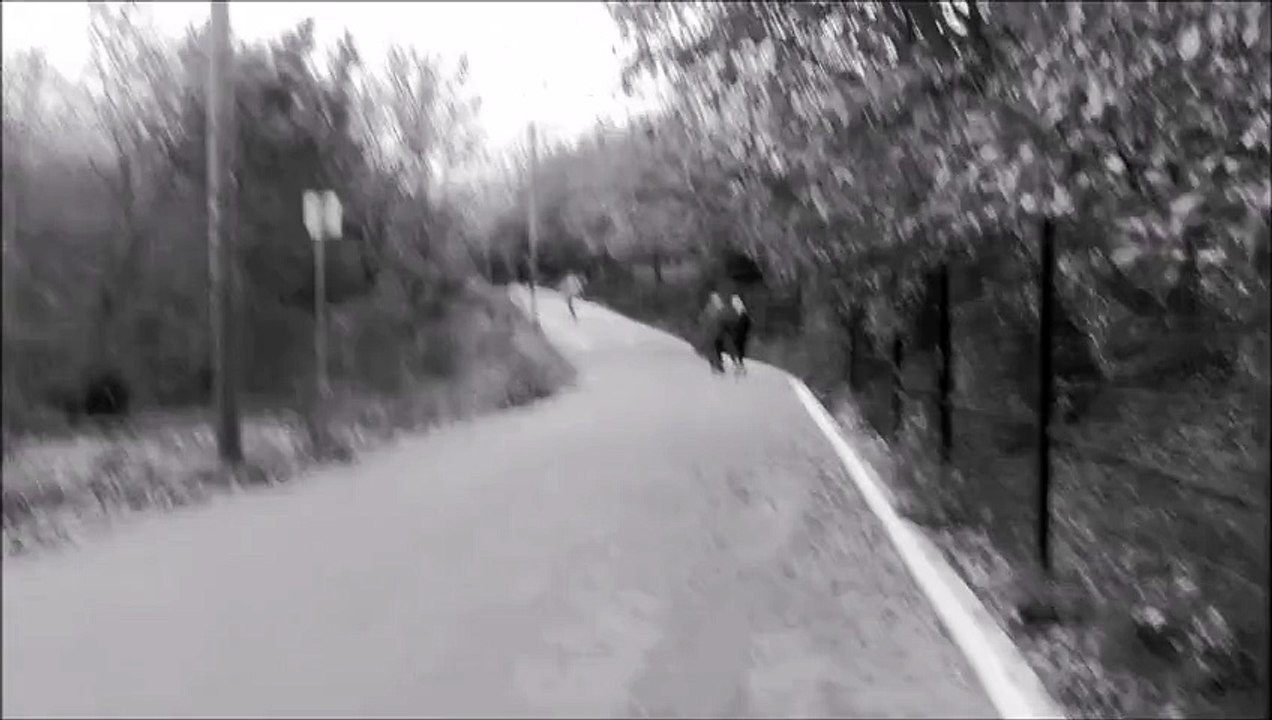 longboard  1ere