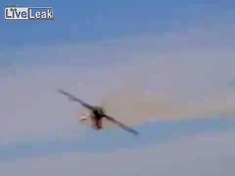 Pilot gets in the way of aerobatic airplane