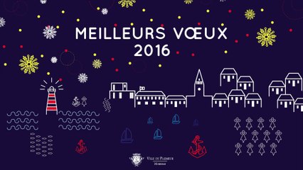 Animation vœux 2016 - Ville de Ploemeur - Bretagne