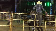 JARIPEO RANCHERO EN GUIVICIA DEL RANCHO ALEJANDRO GARCIA LA MORA GUANAJUATO VALIENTES JINETES MONTAN A LOS TOROS MAS SALVAJES DE MEXICO ENERO 2016