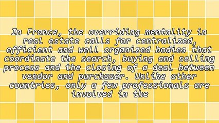 The Real Estate Professionals in France