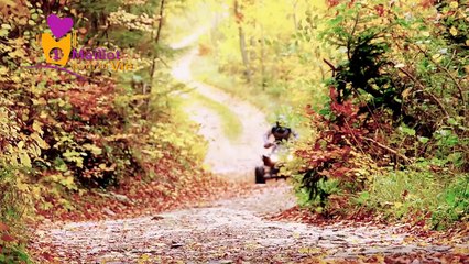 Quad Baja Mondial Alexandre GIROUD