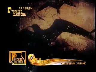 Амирамов - Солнечный зайчик