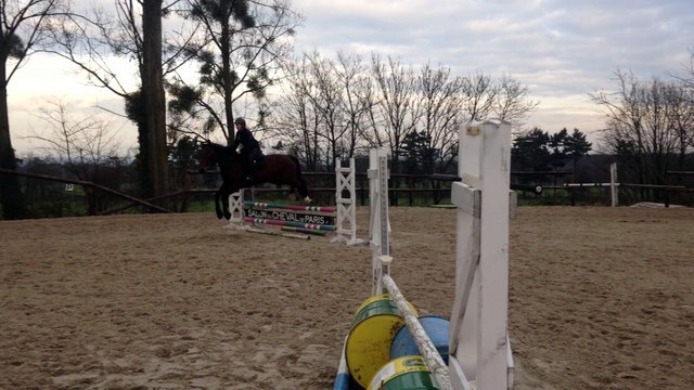 JEUNE JUMENT PAR KANNAN PREMIERE SEANCE DE SAUT MONTEE