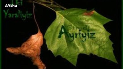 BESTAMi KORKMAZ -- DOKUNMA DOKTORrr.. AYshu..