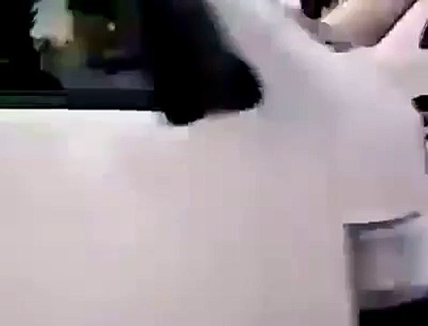 Most Funniest Videos I Ever Seen