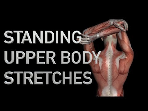 16 Standing Upper Body Stretches - Black Background