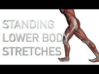 8 Standing Lower Body Stretches