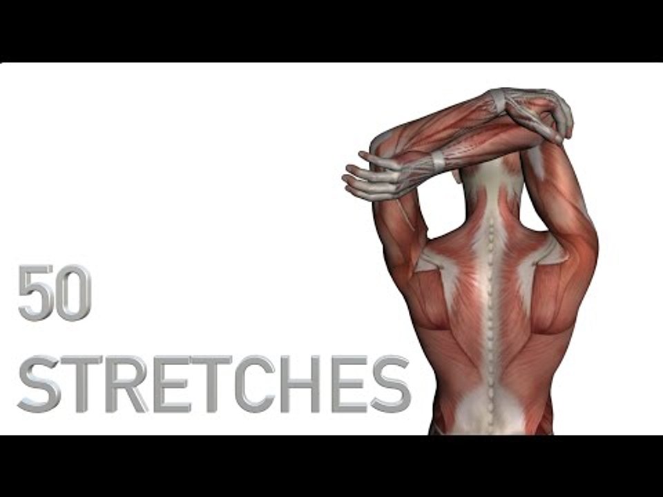 50 Different Stretches - White Background