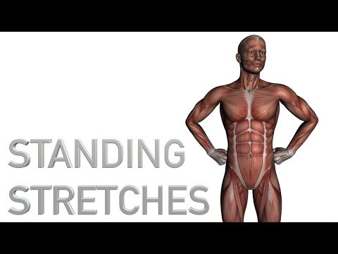 24 Standing Stretches - Upper and Lower Body