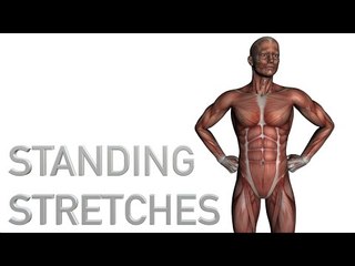 24 Standing Stretches - Upper and Lower Body