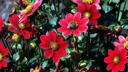 Mundos Internos Mundos externos 2da Parte La espiral