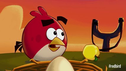 Reds Mighty Feathers Angry Birds update with new gameplay