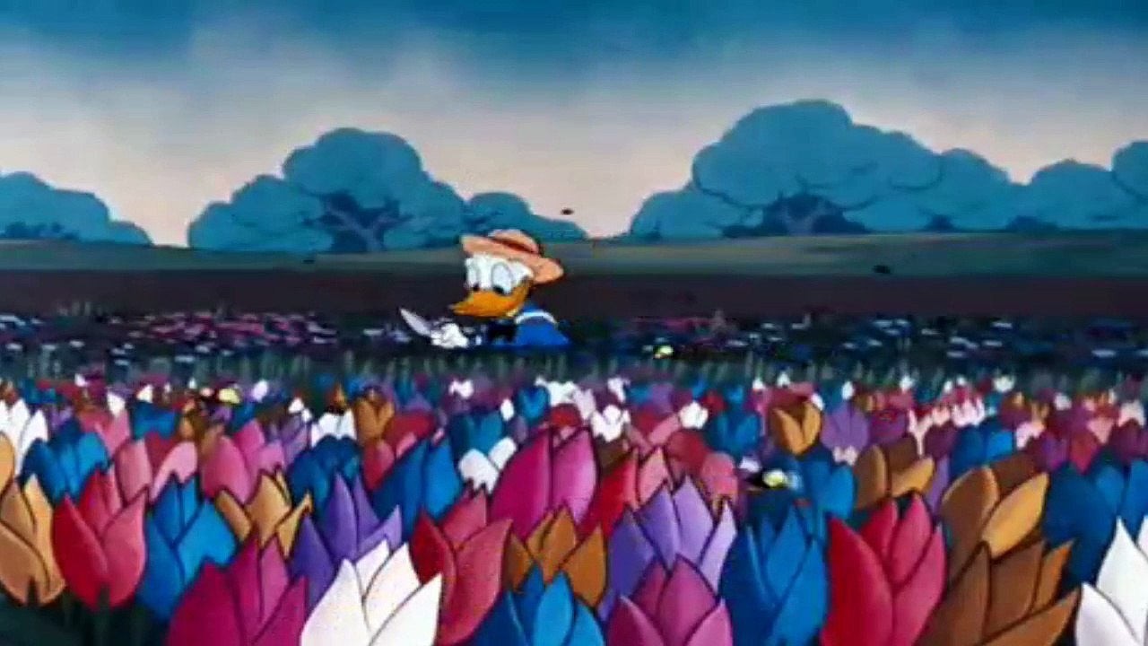 Donald Duck - Bee On Guard